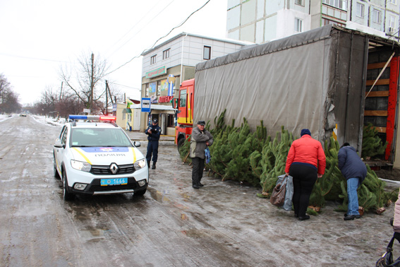 В Одесской области началась «охота» на продавцов елок и нелегальной пиротехники