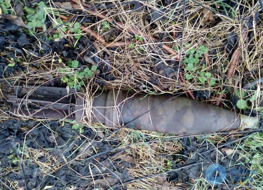 В поле на юге Одесской области нашли артиллерийский снаряд