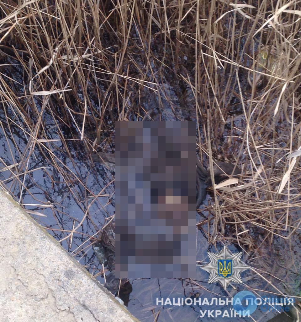 В Одесской области ревнивец убил соперника и попытался утопить тело в реке