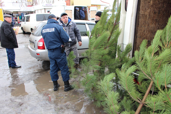 В Одесской области началась «охота» на продавцов елок и нелегальной пиротехники