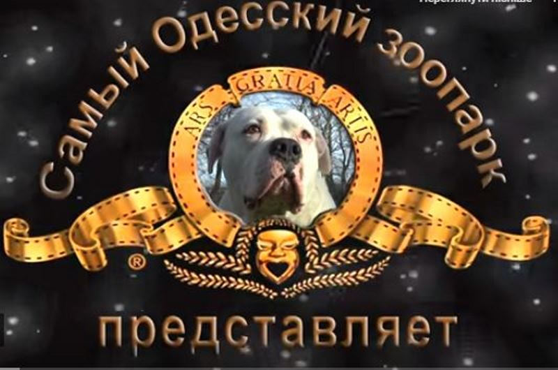 В Одесском зоопарке сняли клип в честь наступающего года Собаки