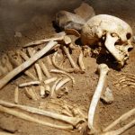 На свалке в Белгород-Днестровском районе обнаружили человеческие останки