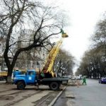 Обрезка деревьев: на Степовой затруднено движение транспорта
