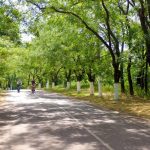 В Одессе займутся комплексным благоустройством Трассы здоровья