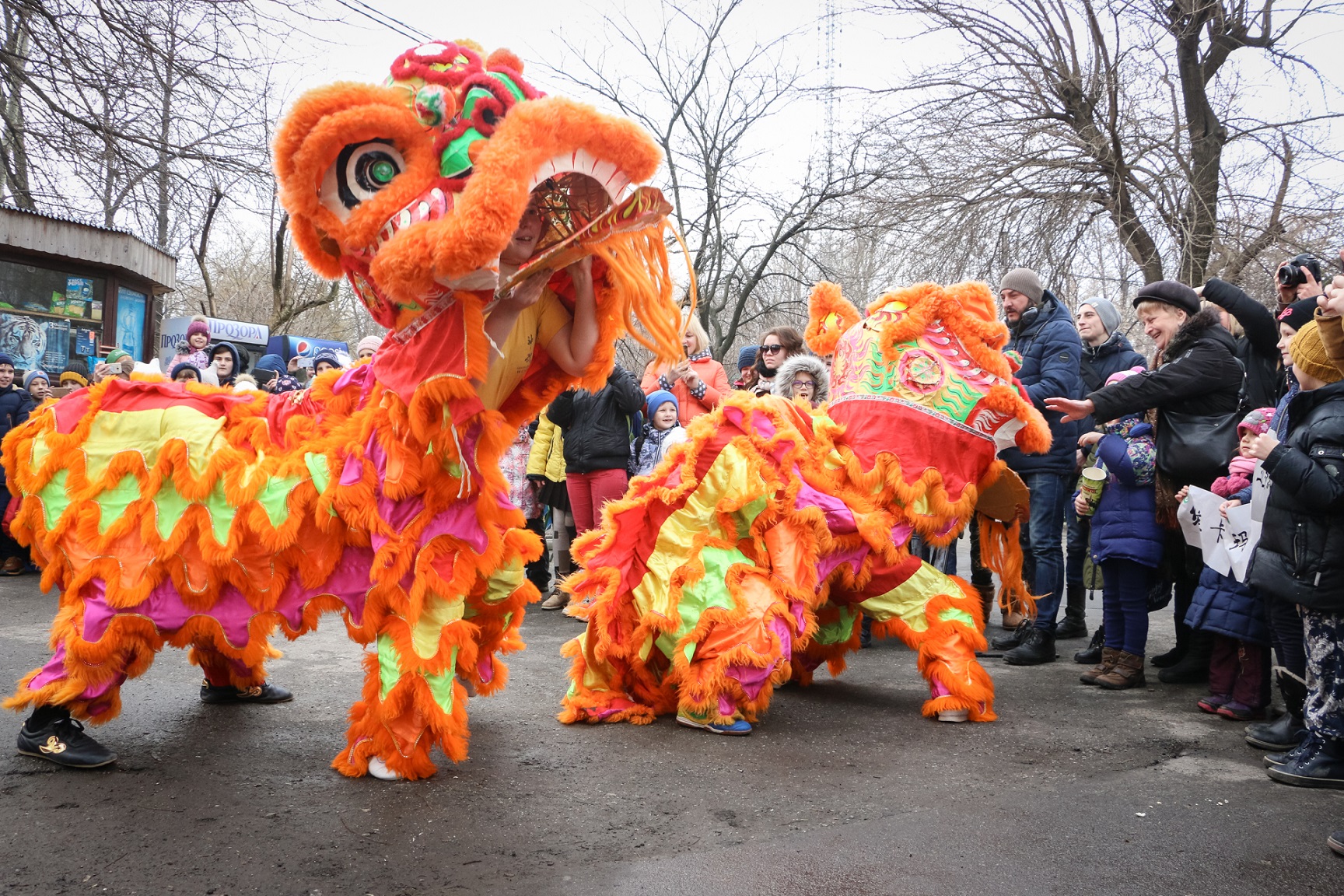 В одесском зоопарке отпраздновали китайский Новый год