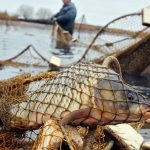 В Одесской области браконьер «нарыбачил» триста килограммов