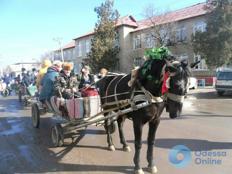 Жители юга Одесской области празднуют Трифон Зарезан (фото)