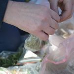 «Отчаянные цветоводы» озеленяют одесские склоны
