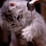Во вторник некоторым одесситам отключат воду