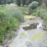 На юге Одесской области надо срочно чистить каналы
