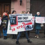 «Права животных = права людей»: под одесским цирком снова митинговали зоозащитники