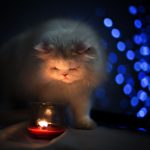Завтра в некоторых домах Одессы отключат свет