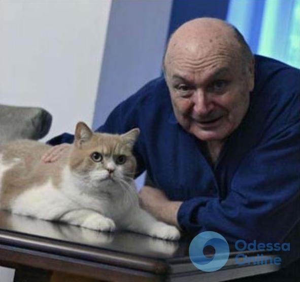В Одессе установят памятник коту Жванецкого