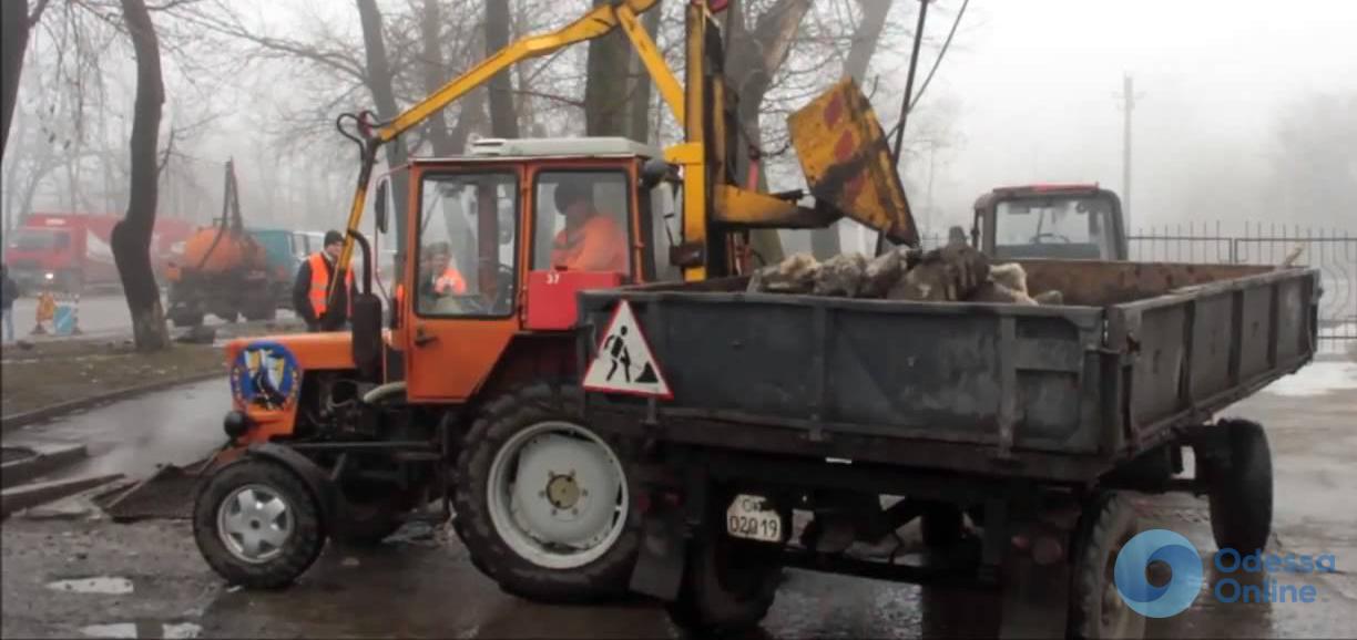 Весна идет: в Одессе чистят ливневки и подрезают деревья