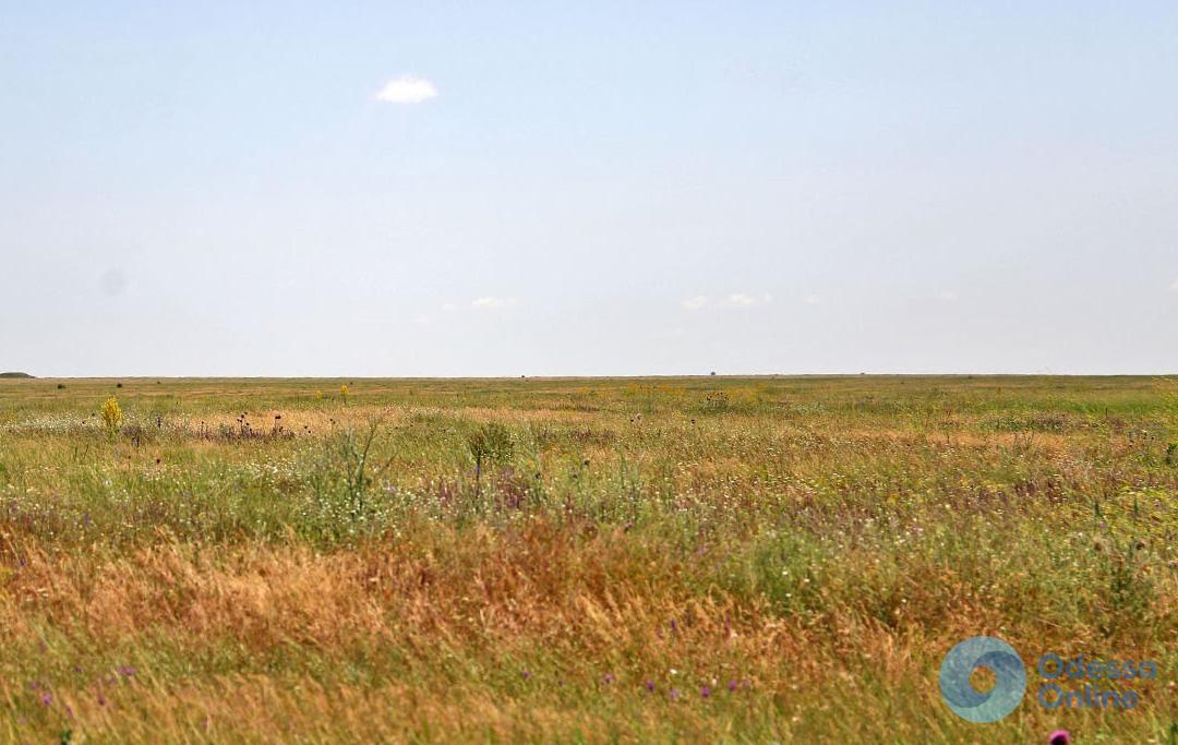 Апелляция: Минобороны отсудило у фермеров еще 150 гектаров Тарутинского полигона