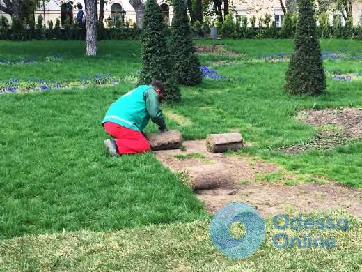 Одесса: в Стамбульском парке укладывают новый газон