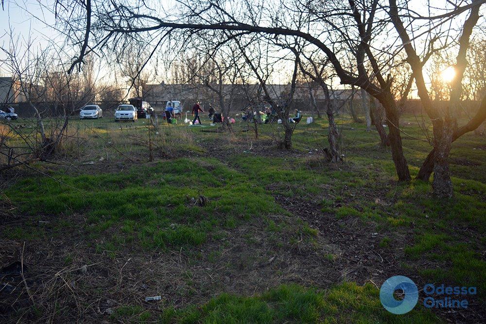 В зеленой зоне, на школьном дворе и даже на мусорнике — Одессу заполонили любители пикников