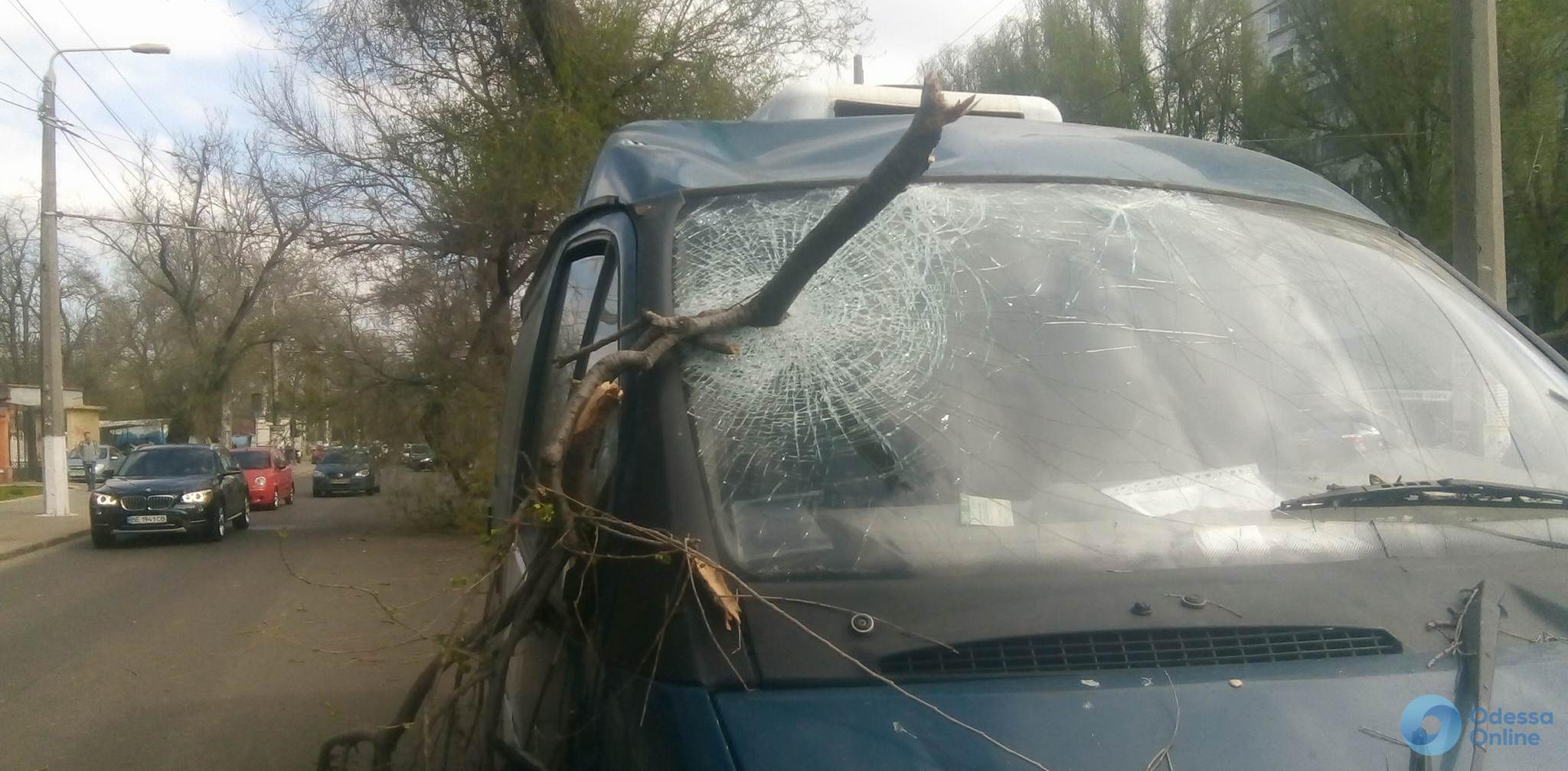 Сильный ветер в Одессе: ветка пробила лобовое стекло автомобиля