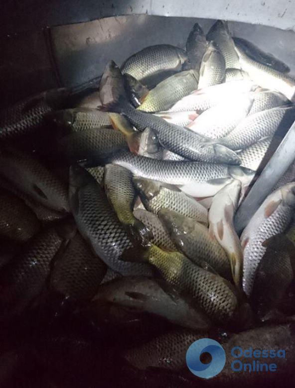 На тракторе и с бочкой рыбы: в Одесской области задержали браконьера