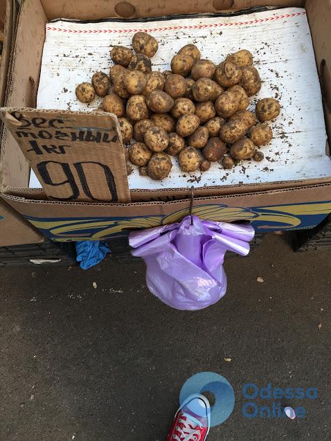 Одесский «Привоз» шокирует ценами на молодой картофель  