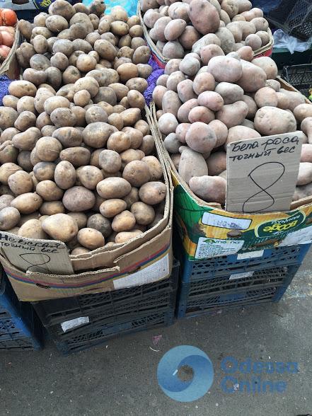 Одесский «Привоз» шокирует ценами на молодой картофель  