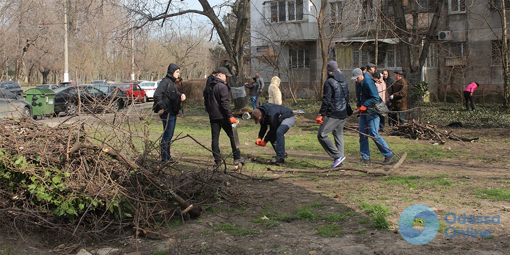 Одесситы самостоятельно защищают деревья возле дома