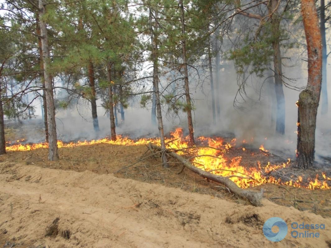 Одесские спасатели борются с пожарами в экосистемах