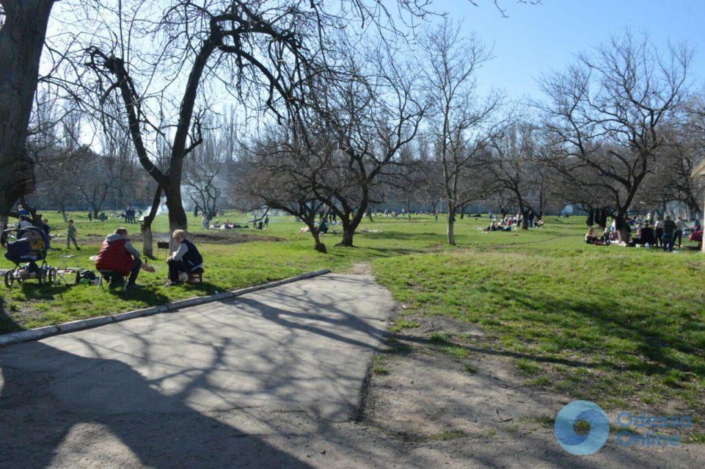 В зеленой зоне, на школьном дворе и даже на мусорнике — Одессу заполонили любители пикников