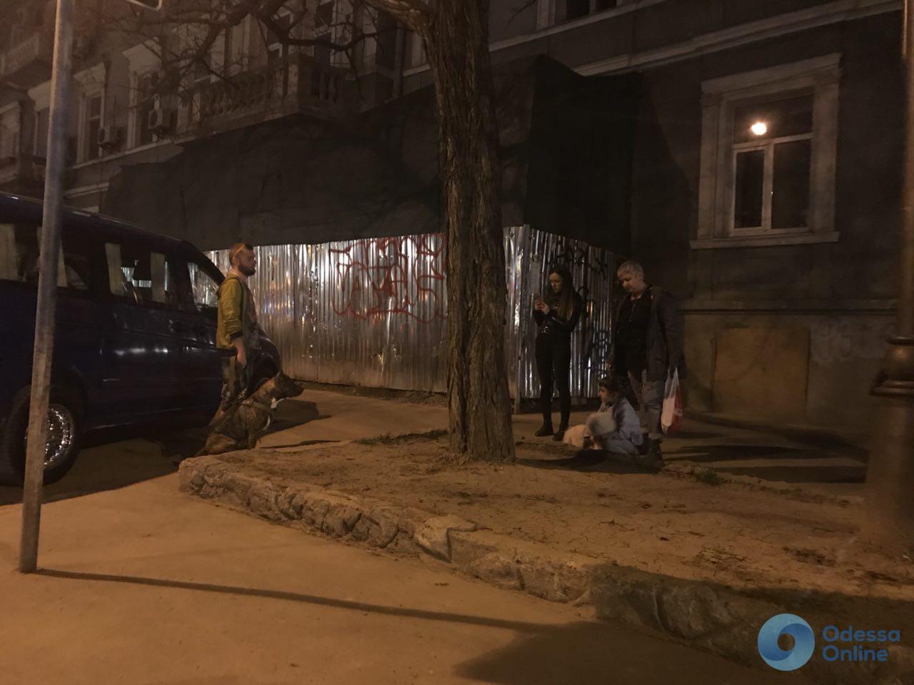 В центре Одессы бойцовская собака напала на пуделя, с которым гулял ребенок