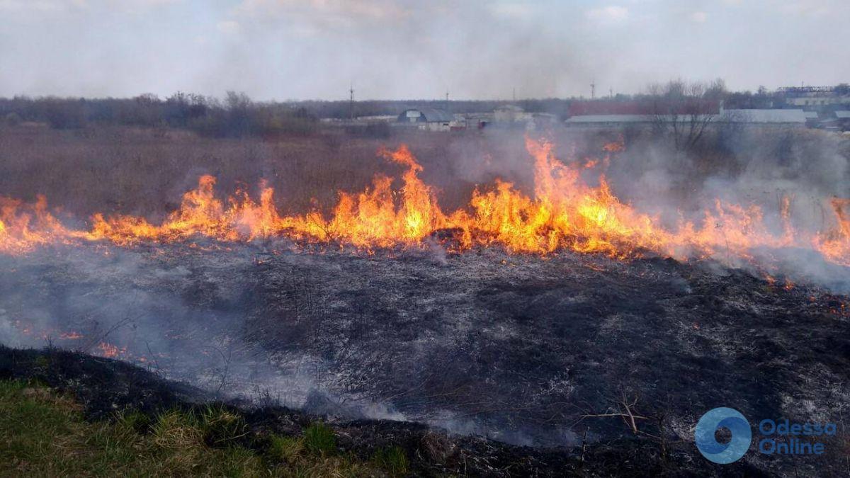 В Одесской области сохраняется чрезвычайная пожарная опасность