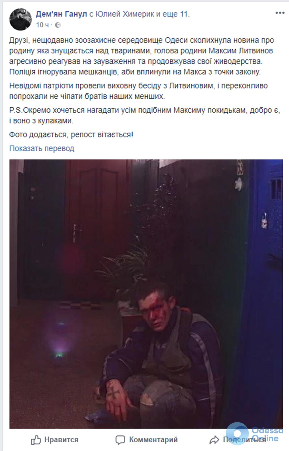Одесса: «неизвестные патриоты» избили мужчину из-за сообщения зоозащитников
