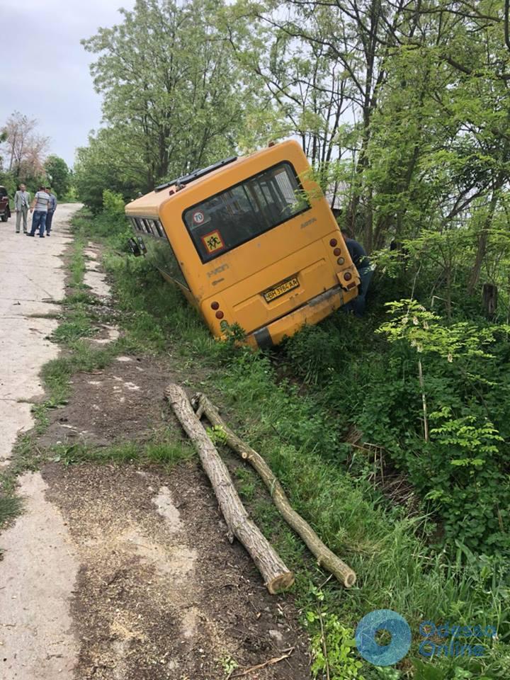 В Одесской области упал в кювет школьный автобус