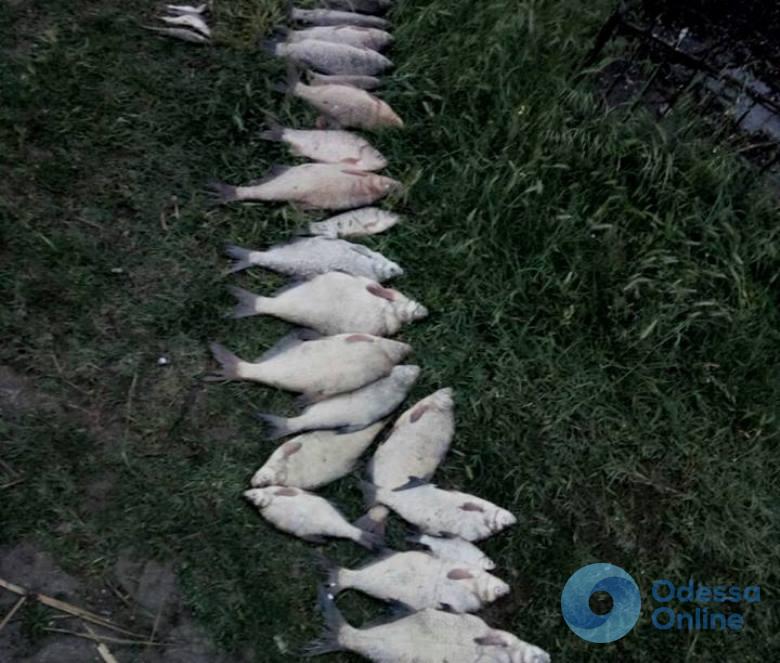 В Одесской области поймали очередного браконьера с крупным уловом