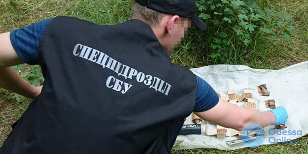 Одесская область: СБУ обнаружила два тайника с боеприпасами
