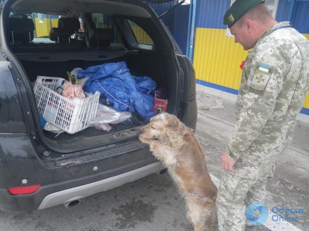 Одессит перевозил в Крым патроны для охотничьего оружия