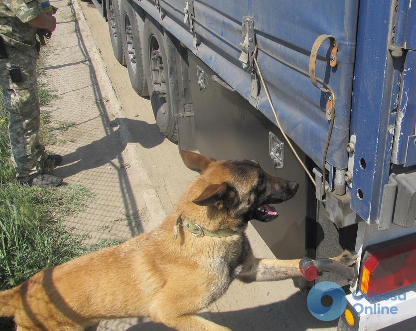 Одесская область: служебный пес обнаружил контрабанду
