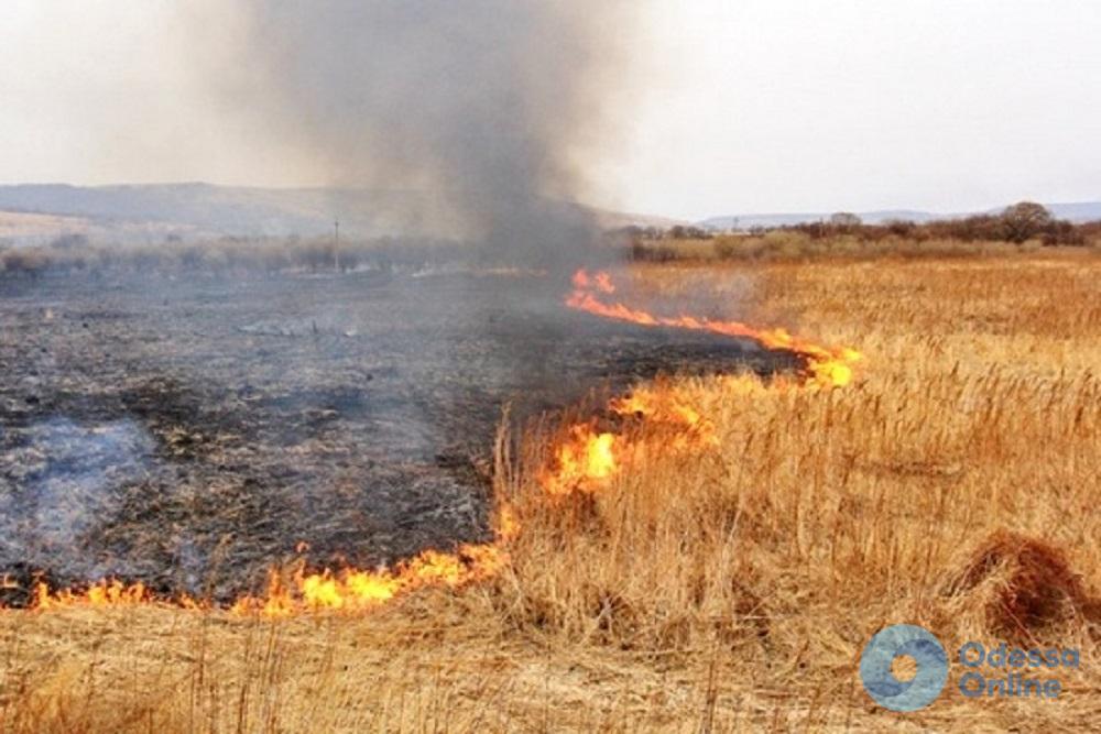 Одесская область: за последние сутки пожарные ликвидировали 14 возгораний сухой травы и мусора