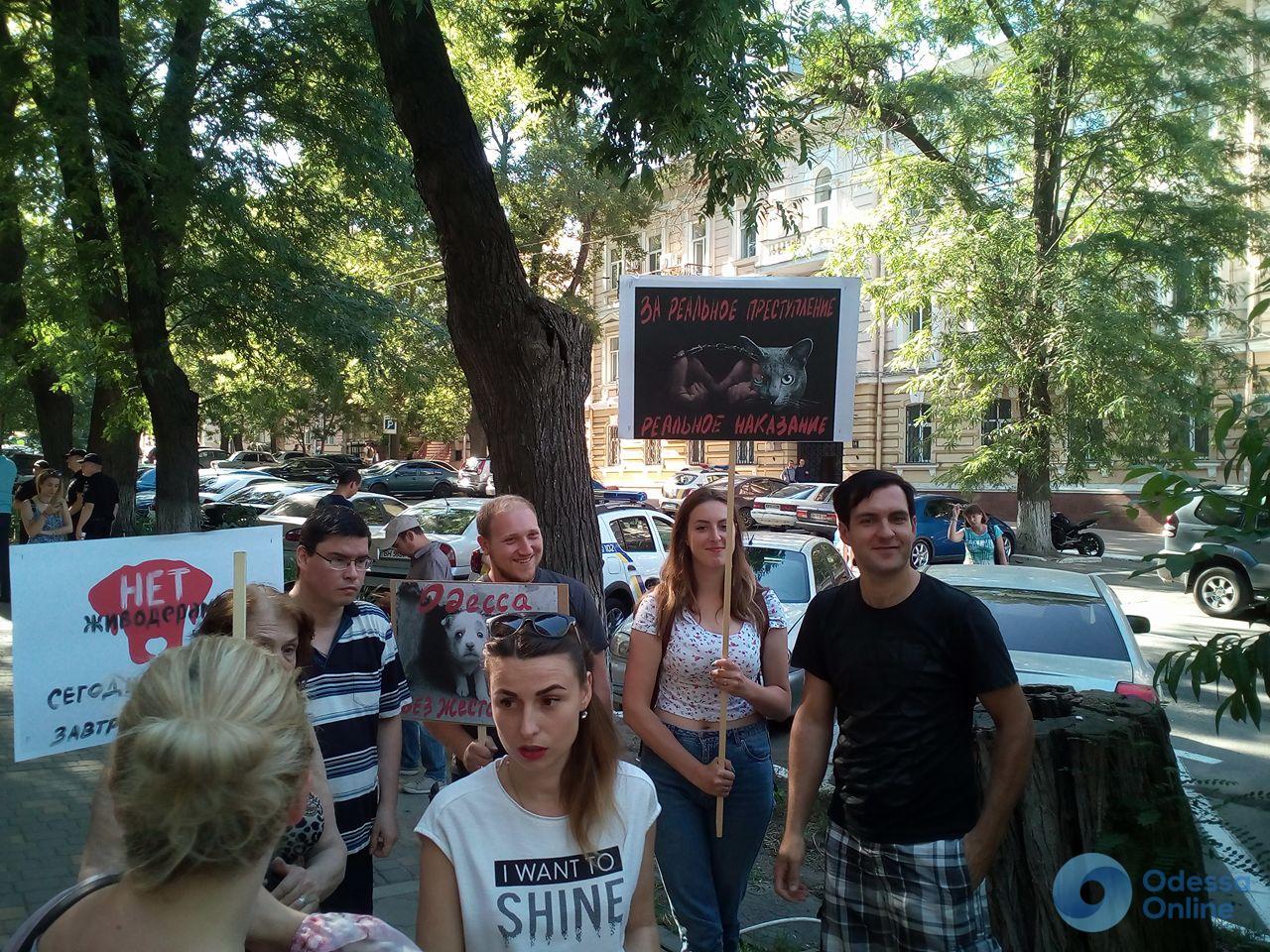 В Одессе митинговали против жестокого обращения с животными