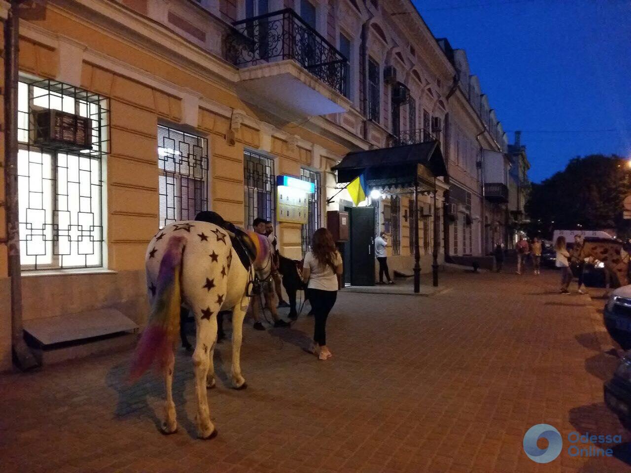 Одесский активист привел в райотдел полиции пять лошадей (фото)