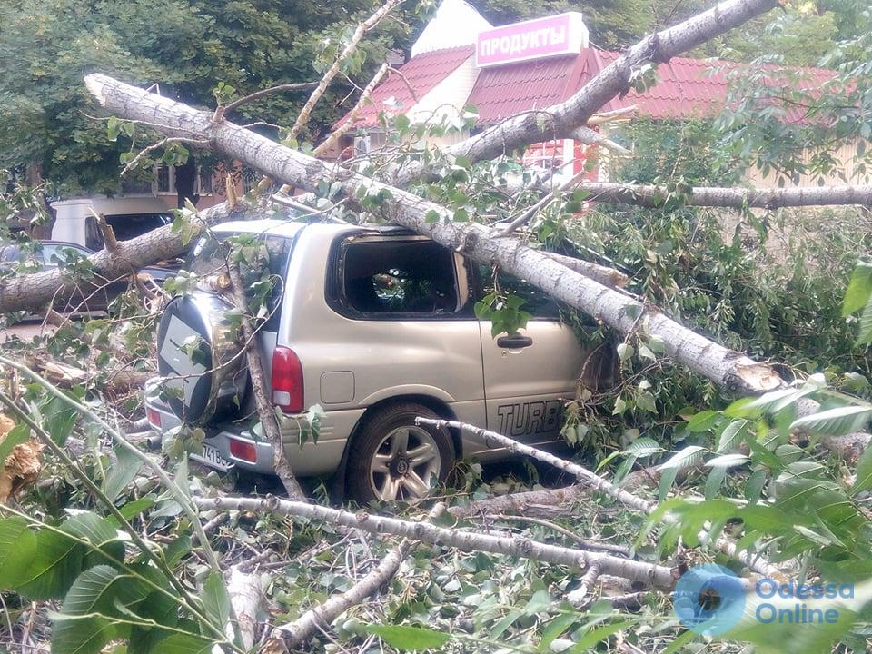 На проспекте Небесной сотни дерево упало на автомобили