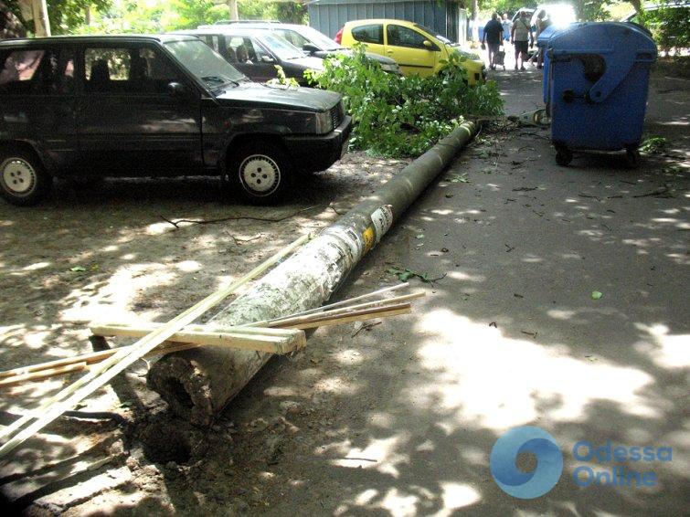 Одесса: во дворе на Королева упал бетонный столб