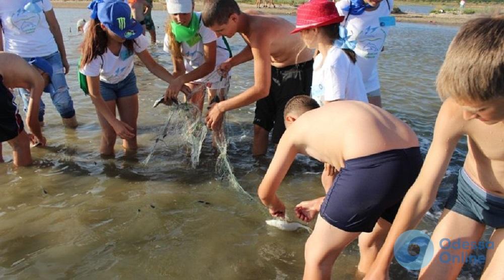 В Одесской области дети спасли от браконьеров почти сотню рыбин камбалы и бычков