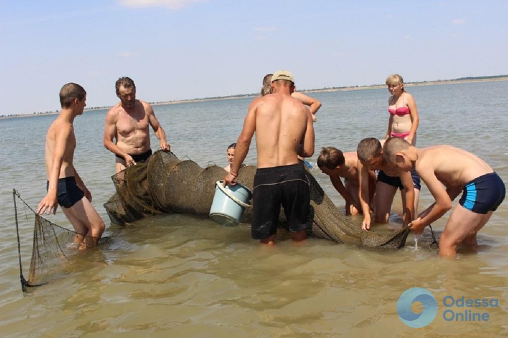 В Одесской области дети спасли от браконьеров почти сотню рыбин камбалы и бычков