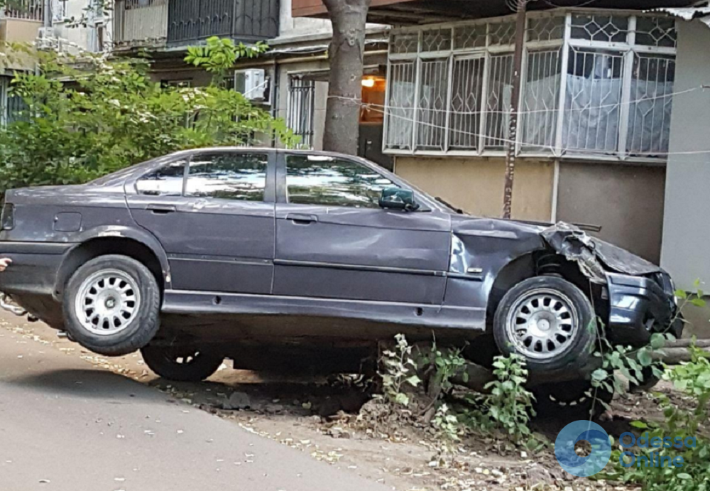 В Одессе автомобиль снес дерево и едва не врезался в жилой дом