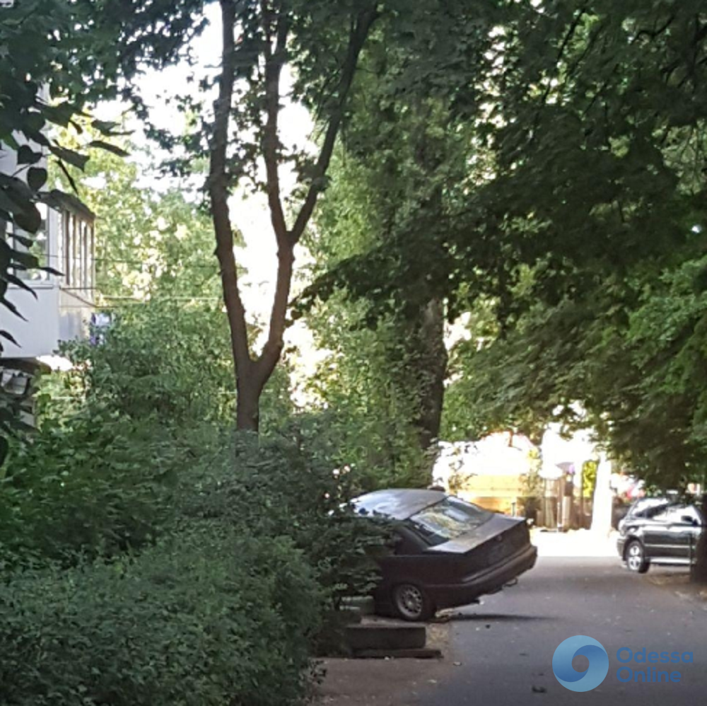В Одессе автомобиль снес дерево и едва не врезался в жилой дом