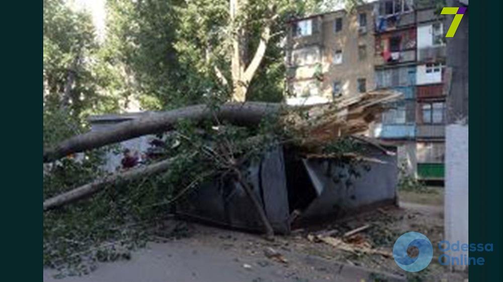 В Одессе тополь рухнул на шесть автомобилей и гараж