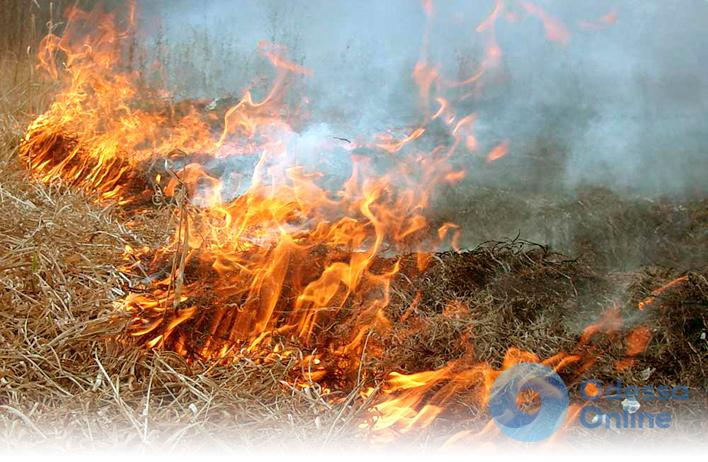 Под Одессой горела сухая трава – пострадал местный житель