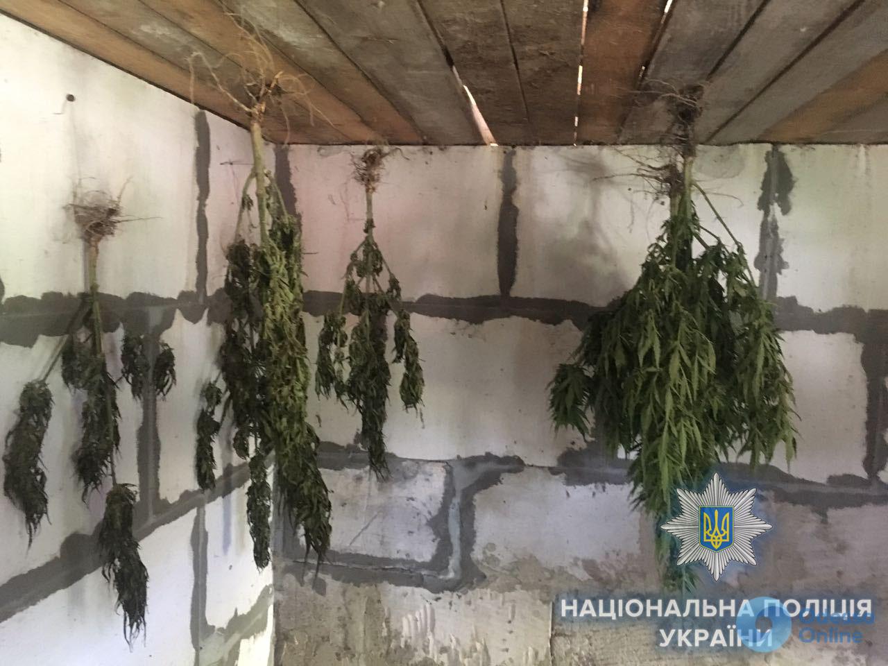 В Одесской области задержали «производителя» наркотиков с целым арсеналом оружия