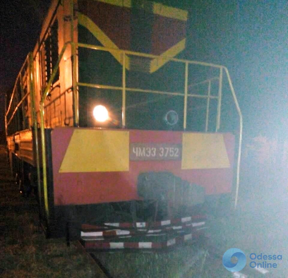 С начала года на Одесской железной дороге погибли 20 человек (осторожно, фото)