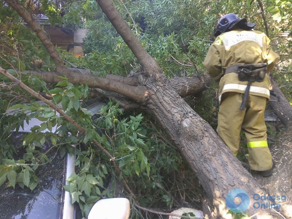 Одесские спасатели убирали рухнувшее на проезжую часть дерево